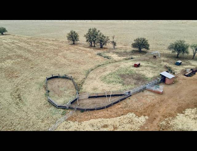 FARM FOR SALE IN THABAZIMBI RURAL